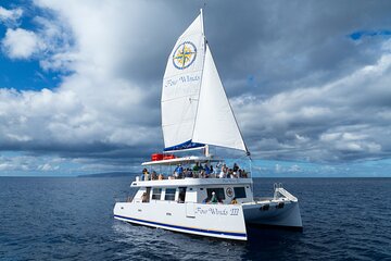 Four Winds Molokini Snorkeling Tour from Maalaea Harbor 