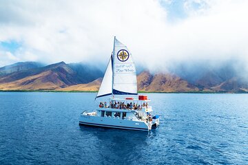 Four Winds Maui Afternoon Snorkel Tour to Coral Gardens 