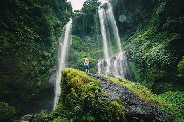 Experience Private Bali Northern Trip at North Waterfall