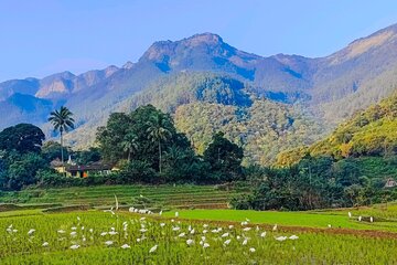 Kandy 360° Green Mountain Day & Half Day City Tour By Tuk Tuk 