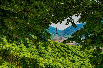 From Venice: Treviso, Prosecco and Tasting 
