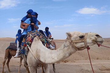 Full-Day Private Camel and ATV Ride Tour in Marrakech 