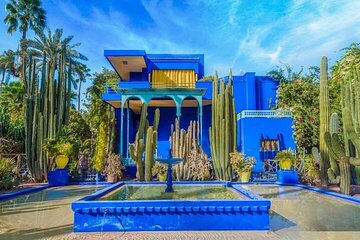 Majorelle Garden and Palmeraie Camel Ride in Marrakech