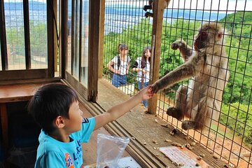 Private Tour to Arashiyama Monkey Park and Arashiyama Highlights 