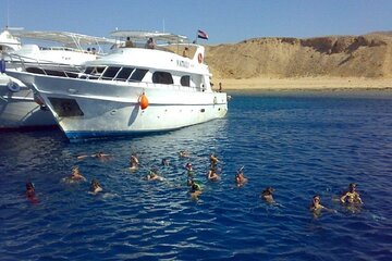 Tiran Island Snorkeling Trip: Lunch & Transfer - Sharm El Sheikh