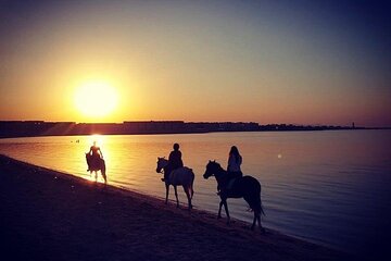 Desert adventure: Horse & Camel Riding - Sharm El Sheikh