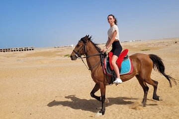 2-Hour Desert Horse Ride with Included Transfers –Sharm El Sheikh