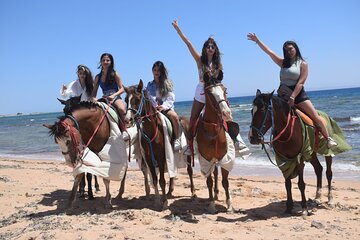 Desert Adventure: Camel or Horse Riding - Sharm El Sheikh