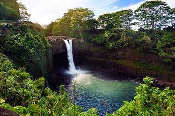 Big Island Half-Day Tour with Lunch