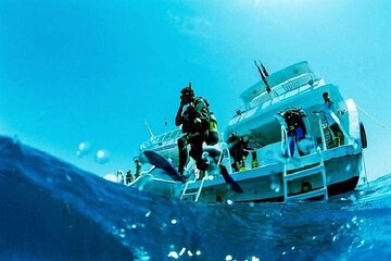 Exciting Beginners Diving Adventure with Lunch - Sharm El Sheikh