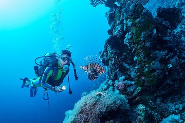 Ras Mohamed & White Island Snorkel & Diving Trip- Sharm El Shiekh