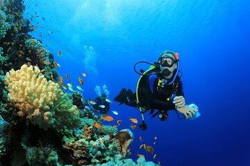 Ras Mohamed & White Island Dive, snorkel, Lunch – Sharm El Sheikh