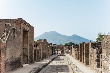 Private Day Trip from Naples to Pompeii Ruins and Mount Vesuvius