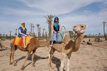 Discover Palmeraie Grove 1 Hour Camel Ride & Transfer - Marrakesh