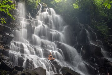 Rice Terraces Sacred Temples and Waterfall Tour from Ubud