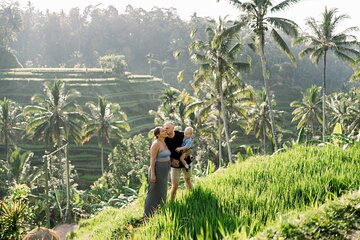  Monkey Forest, Temple, Waterfall and Rice Terrace in Ubud Tour