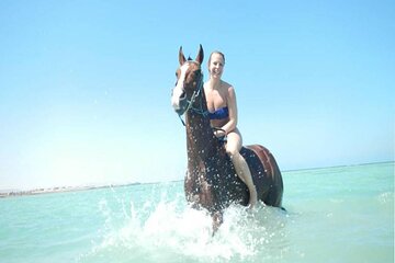 3 Hours Swimming By Horse on the Beach and Dessert in Hurghada