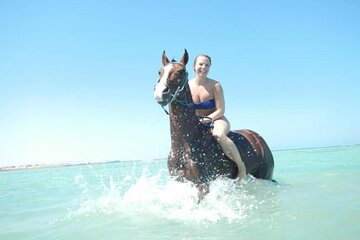 Horse Riding Hurghada – 2h Sea & Sand Experience