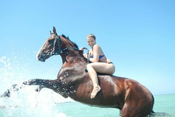 2-Hour Horse Riding Adventure on Sea and Sand in Hurghada