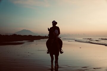 Bali Horseback Riding sanur Beach Experience Include Transport 