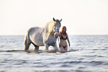 Horse Riding Tour Two Hours Sun & Sea With Transfer - Hurghada