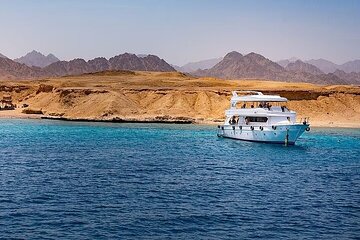 White Island and Ras Mohamed Cruise Adventure from Sharm ElSheikh