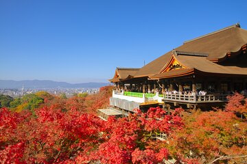 A Tour to Explore Kyoto's Autumn Foliage at Kiyomizu-dera Temple