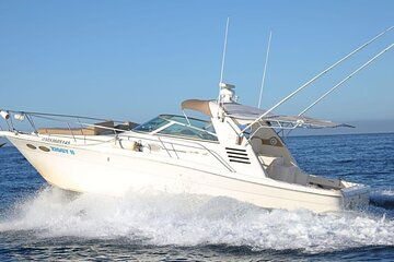 Cabo Private 36ft Yacht – Scenic Cruise & Relaxation