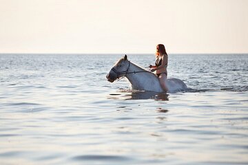 2 Hours Swimming by Horse Beach, Desert, at Red Sea - Hurghada
