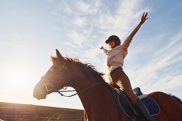2 Hours Desert Horse Riding Experience with Transfer - Marsa Alam