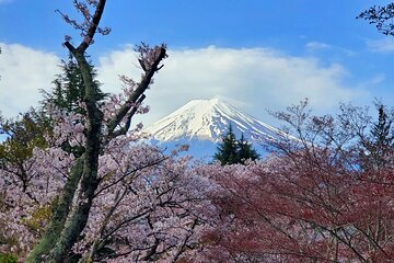 3 Days Private Tour Tokyo, Mt. Fuji and Hakone