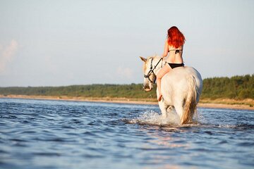  Beach & Desert Horse Ride, Swimming and Dinner - Hurghada