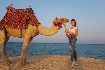 Experience Camel Riding in the Stunning Desert - Hurghada