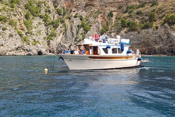 Guided Tour of the Punta Campanella Marine Protected Area