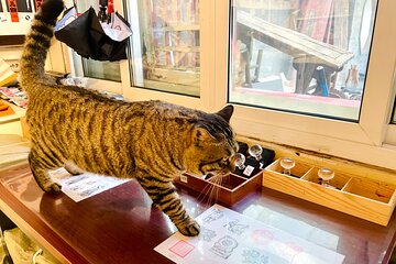 Bite and Stroll: Brunch Tour in Old Town Beijing!