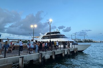 Miami Bayfront Cruises Official Millionare Homes Cruise 