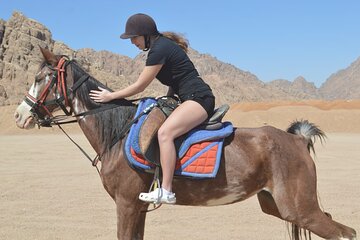 2 hours Horse Riding At Amazing Desert With Transfer - Sharm El Sheikh