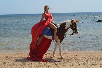 Horse Riding in Nabq Bay beach & Transfer- Sharm El Sheikh