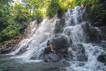 Full Day Ubud Tour Visit Waterfall Monkey Forest Rice Terrace