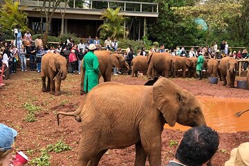 1 Day Tour Nairobi National Park, Elephant Center, Giraffe Ctr