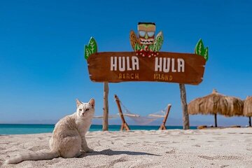 Explore Hula Hula Island with Parasailing & Lunch - Hurghada