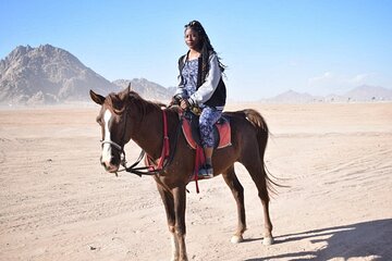 Experience Horse Ride 2 Hours Adventure Desert Or Sea - Hurghada