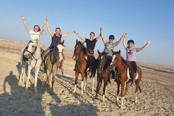 1 Hour Horse Riding at the Amazing Desert & transfer – Marsa Alam