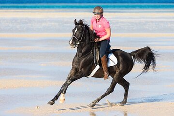 3 Hours Luxury Horse Riding Experience in Hurghada