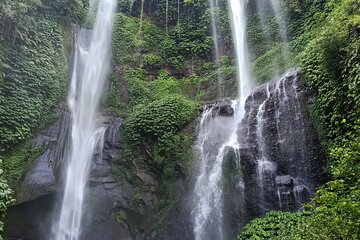 North Bali Sekumpul Waterfall, Banyu Wana Waterfall & Temple Tour