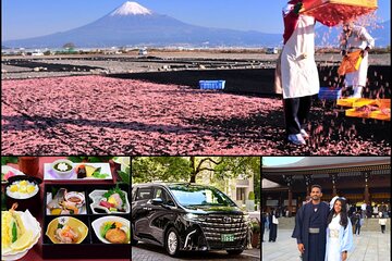 ”All Inclusive・Private Tour" Sakura Shrimp and Ukiyoe experience 