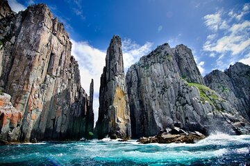 Southern Highlands & The Grand Pacific Drive-PVT Tour from Sydney