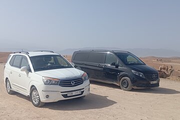 Private Transfer from Menara Airport to Marrakech Hotel