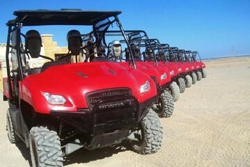 Family Buggy Car Safari & Camel Ride Trip W/Transfer - Marsa Alam