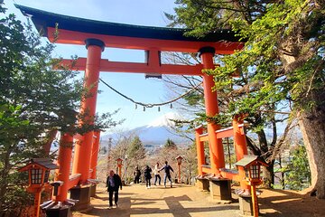  2 Days Private Tour: Tokyo / Mt Fuji and Hakone